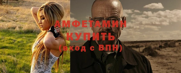 ГАЛЛЮЦИНОГЕННЫЕ ГРИБЫ Алзамай