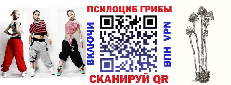 Галлюциногенные грибы мицелий  Апатиты 